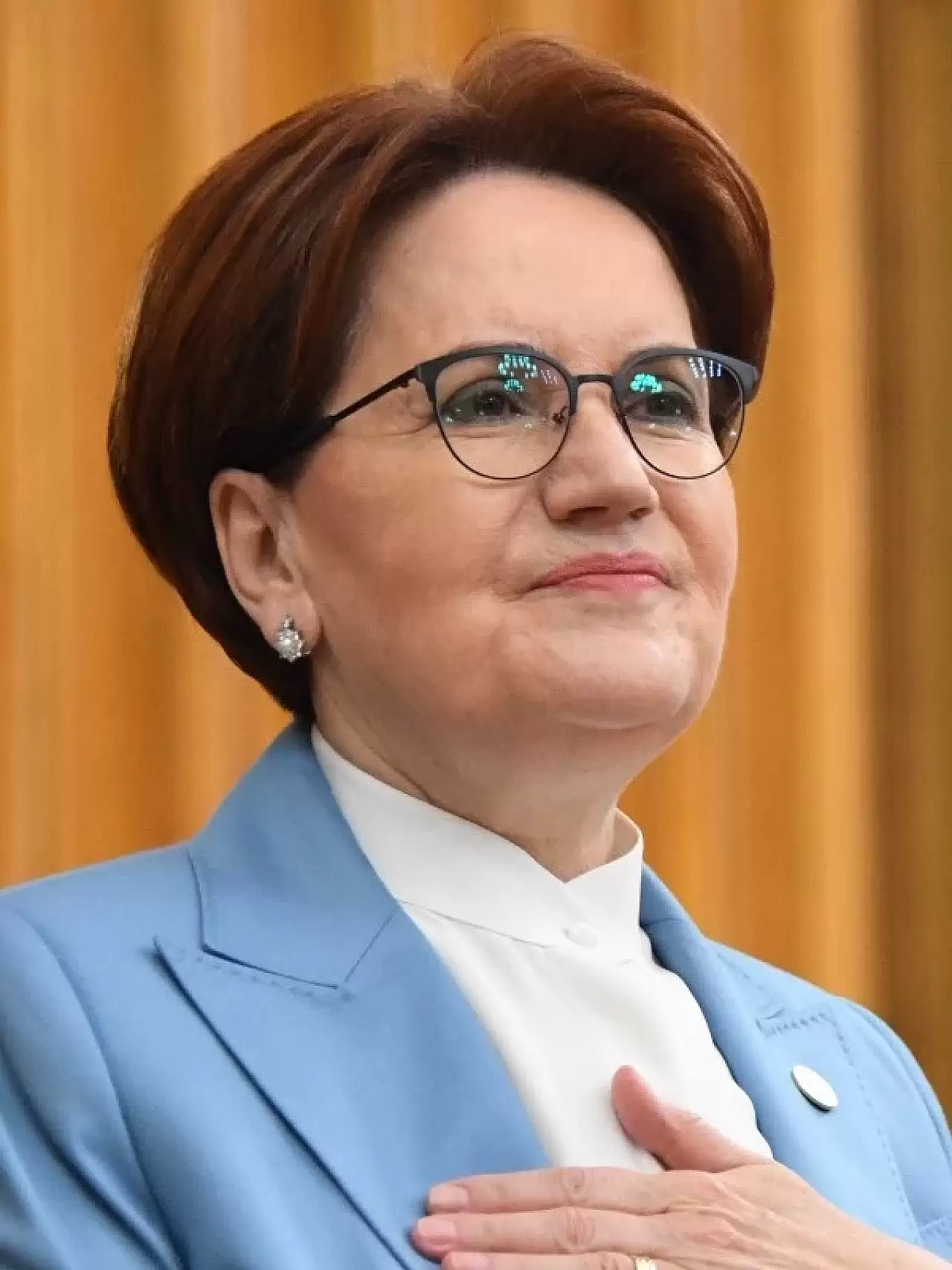 Meral Akşener Sapanca'daki Çiftlik Evinde Sessizliğini Koruyor