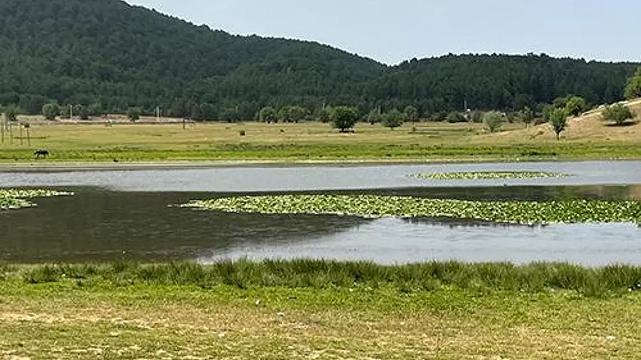 Süleymanlı Yayla Gölü'nde Nilüferler Açtı, Doğa Harikasına Renk Kattı!