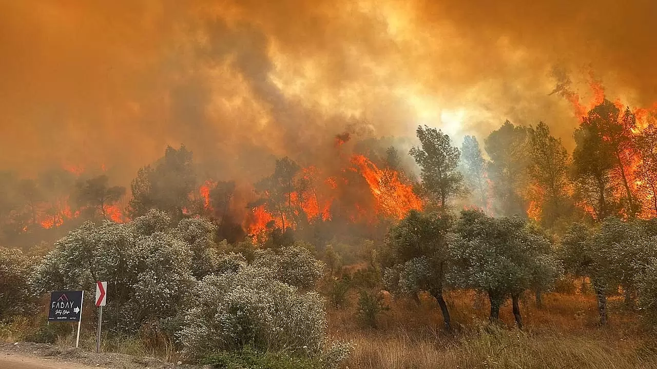 Manavgat'ta Orman Yangını Kontrol Altına Alınamadı