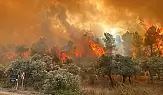 Aydın'da orman yangını kontrolden çıktı: Alevler hızla yayılıyor