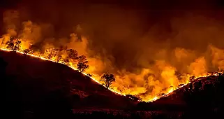 Orman yangınları sebebiyle ABD'de Olağanüstü Hal ilan edildi!