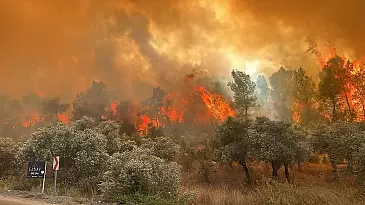 Salihli'deki Orman Yangınında 2 Mahalle Boşaltıldı