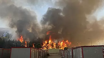 Gaziantep'teki Orman Yangını Barınma Merkezine Sıçradı