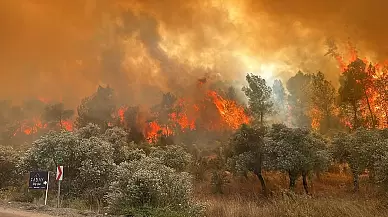 Mersin'de kontrol altına alınamayan orman yangını devam ediyor.