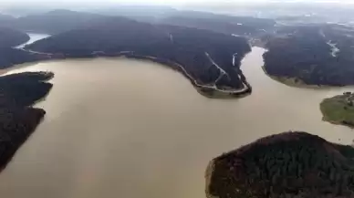 İstanbul'da Su Krizi Derinleşiyor! Baraj Doluluk Oranları 15 Ay Sonra Yüzde 30'un Altına Düştü, İstanbulluların Su Stoğu Ne Kadar?