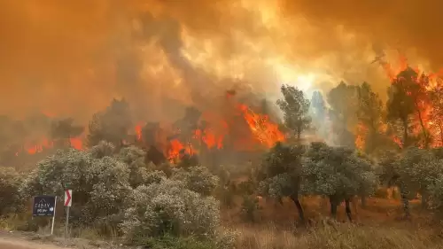 Salihli'deki Orman Yangınında 2 Mahalle Boşaltıldı